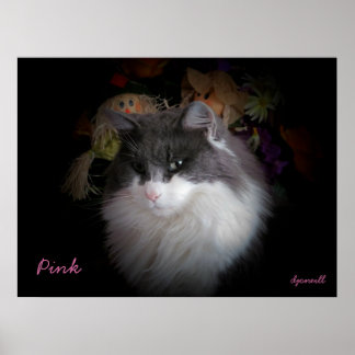Póster Maine Coon Harvest por djoneill