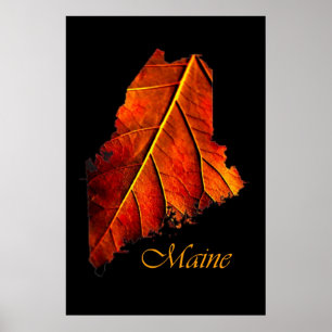 Póster Maine Otumn Naranja Leaf   Foliage de Maine Fall