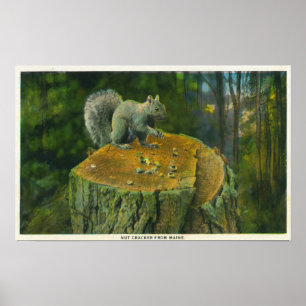 Póster MaineA poca ardilla del cascanueces de Maine