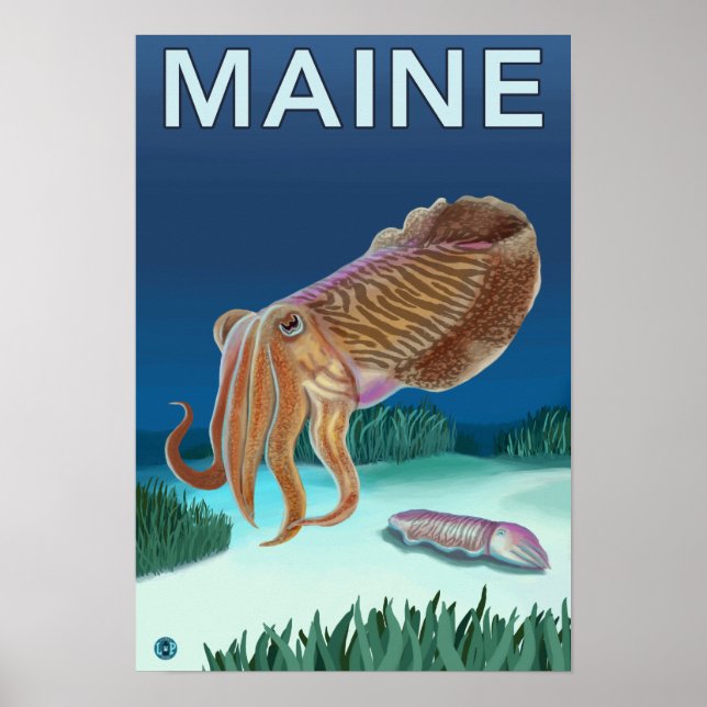 Póster MaineCuttlefish Scene (Frente)
