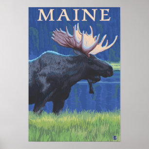 Póster MaineMoose en la luz de la luna