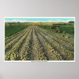 Póster MaineView de una granja de papas en Maine