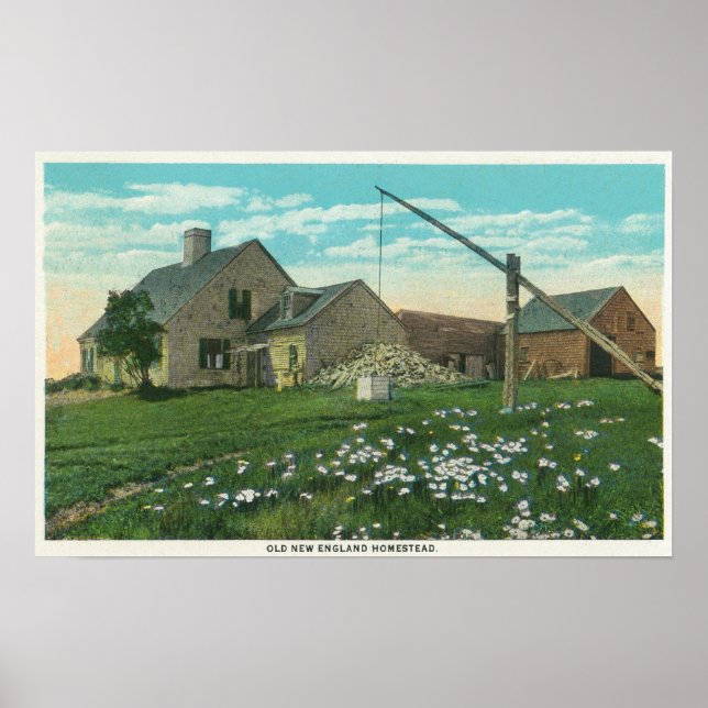 Póster MaineView de una vieja casa de Nueva Inglaterra (Frente)