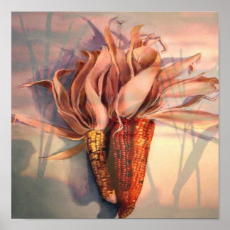 Póster Maíz al atardecer
