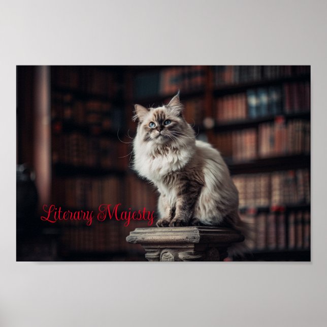 Póster Majestad de la Biblioteca: Regal Ragdoll Cat (Frente)