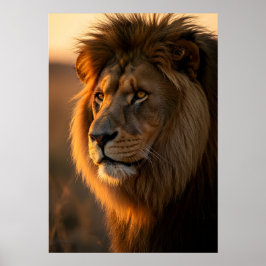 Póster Majestad de Oro: El reinado del Rey