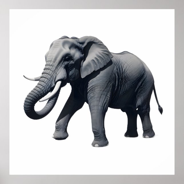 Póster Majestic African Elephant Walking with Large Tusks (Frente)