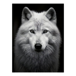 Póster Majestic Arctic Wolf Portrait in High Contrast Bla