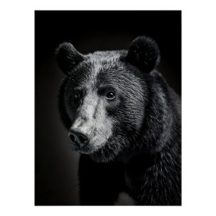 Póster Majestic Bear Portrait - Black and White Wildlife