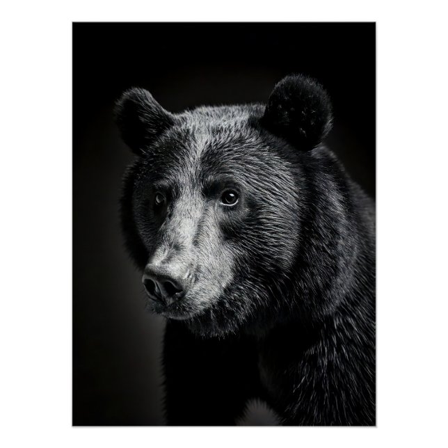 Póster Majestic Bear Portrait - Black and White Wildlife (Anverso)