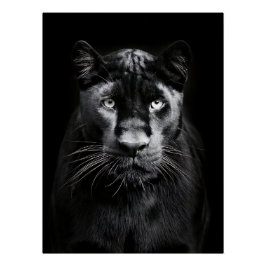 Póster Majestic Black Panther Portrait