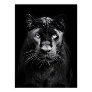 Póster Majestic Black Panther Portrait
