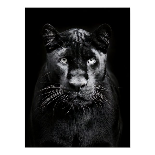 Póster Majestic Black Panther Portrait (Anverso)