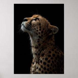 Póster Majestic Cheetah Portrait on Black Background