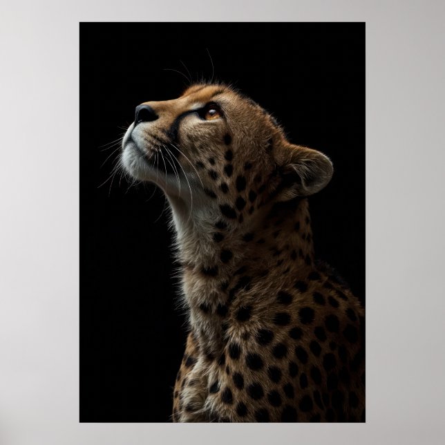 Póster Majestic Cheetah Portrait on Black Background (Frente)
