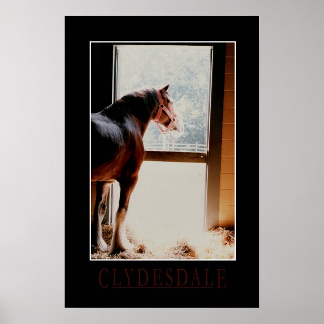 Póster Majestic Clydesdale (Frente)