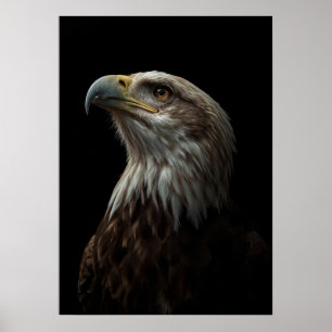 Póster Majestic Eagle Portrait on Black