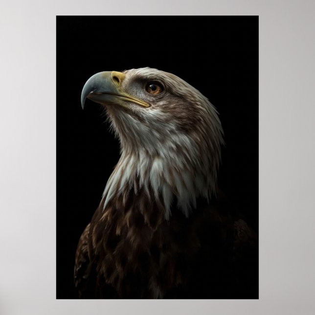 Póster Majestic Eagle Portrait on Black (Frente)