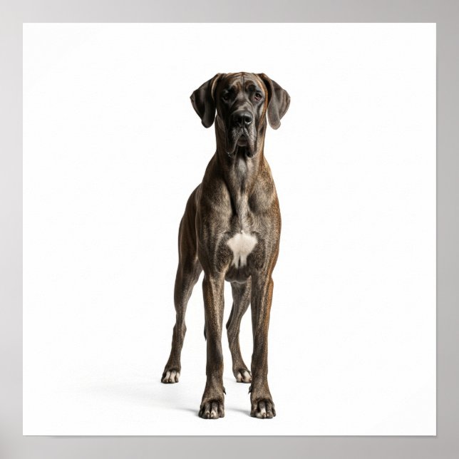 Póster Majestic Great Dane (Frente)