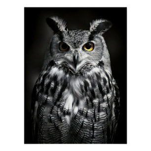 Póster Majestic Great Horned Owl Black & White Fine Art