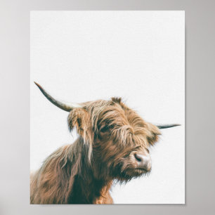 Póster Majestic Highland cow portrait
