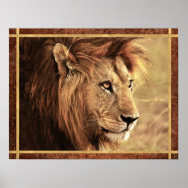 Póster Majestic Lion Sideway Photo