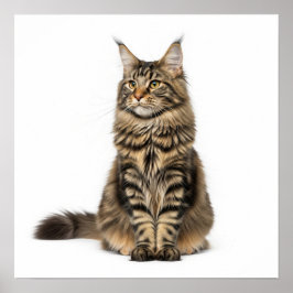 Póster Majestic Maine Coon Art