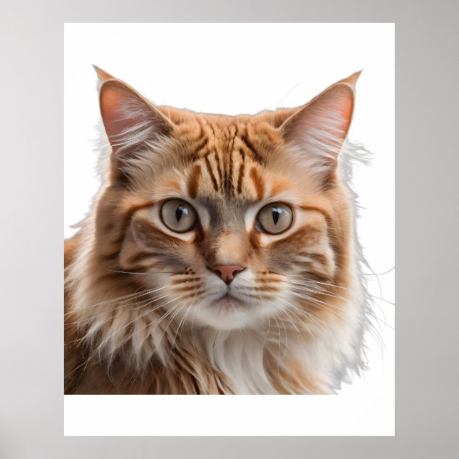 Póster Majestic Orange Tabby Cat Portrait (Frente)