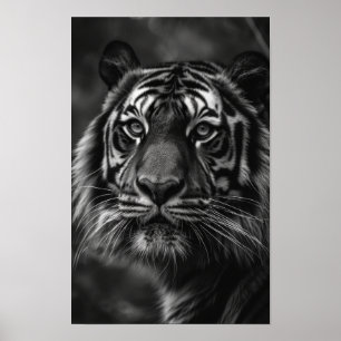 Póster Majestic Tiger Portrait Bella Artes Poster
