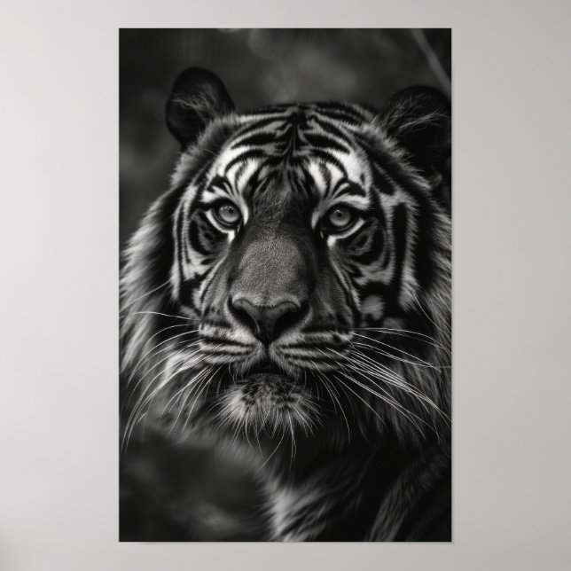 Póster Majestic Tiger Portrait Bella Artes Poster (Frente)