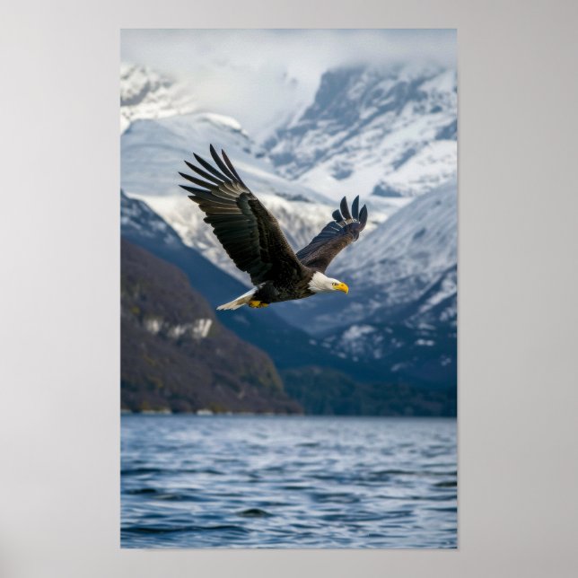 Póster Majestuoso Águila Calva Volando Bajo Sobre Agua Ne (Frente)