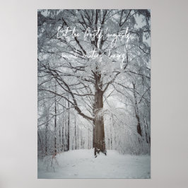 Póster Majestuoso árbol de haya en el bosque invernal