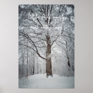 Póster Majestuoso árbol de haya en el bosque invernal