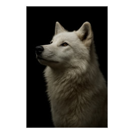 Póster Majestuoso Retrato de Lobo Fuerza & Confianza Real