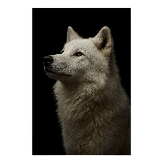Póster Majestuoso Retrato de Lobo Fuerza & Confianza Real (Anverso)