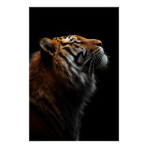 Majestuoso Retrato de Tigre, Fuerza y Confianza Re