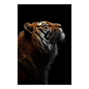 Póster Majestuoso Retrato de Tigre, Fuerza y Confianza Re