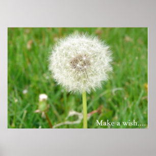 Póster Make a Wish
