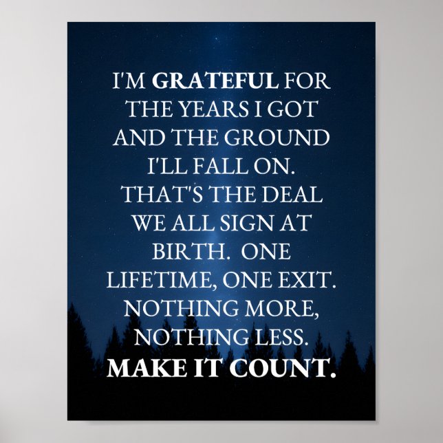 Póster Make It Count! (Frente)