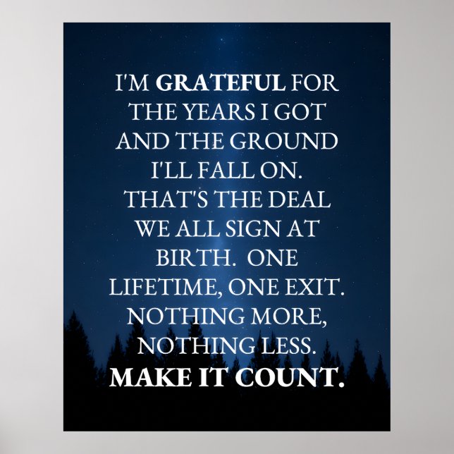 Póster Make It Count! (Frente)