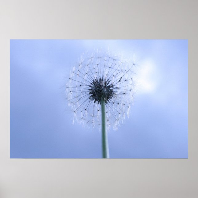 Póster Makin' Wings (Frente)