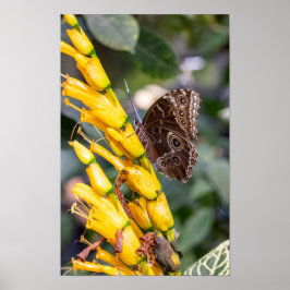 Póster Making Contact