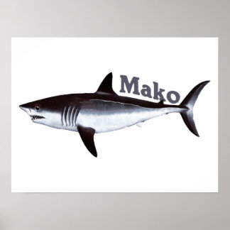 Póster Mako Shark vintage