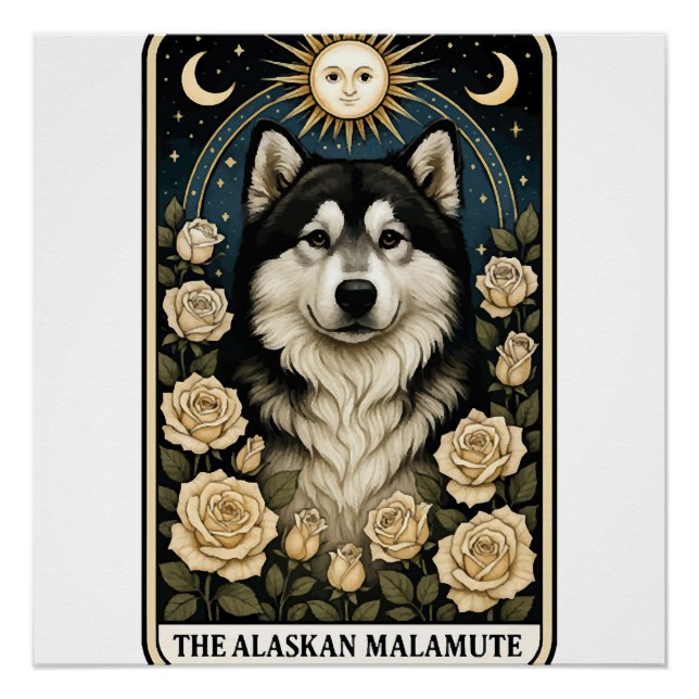 Póster Malamute de Alaska (Anverso)
