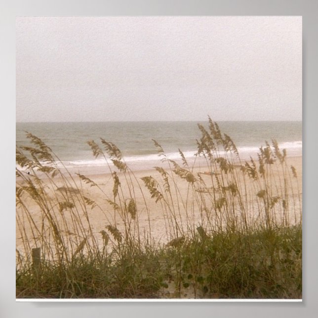 Póster maleza (Frente)