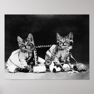 Póster Malhechores - Harry Whittier libera