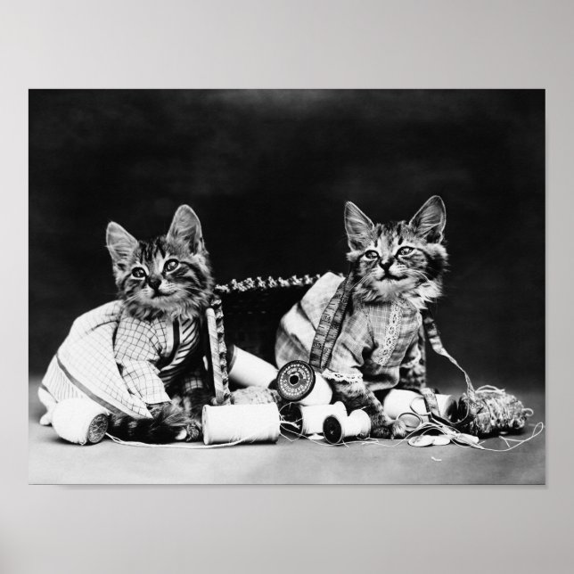 Póster Malhechores - Harry Whittier libera (Frente)