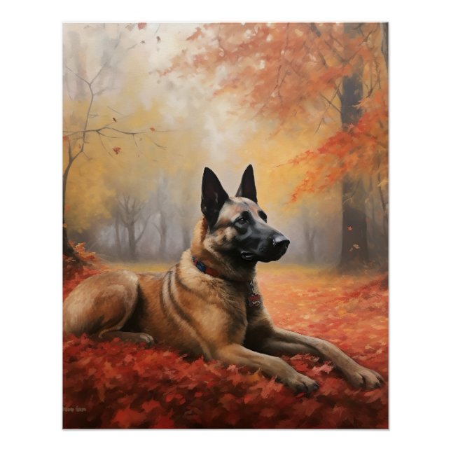 Póster Malinoi belga en otoño se inspira (Anverso)