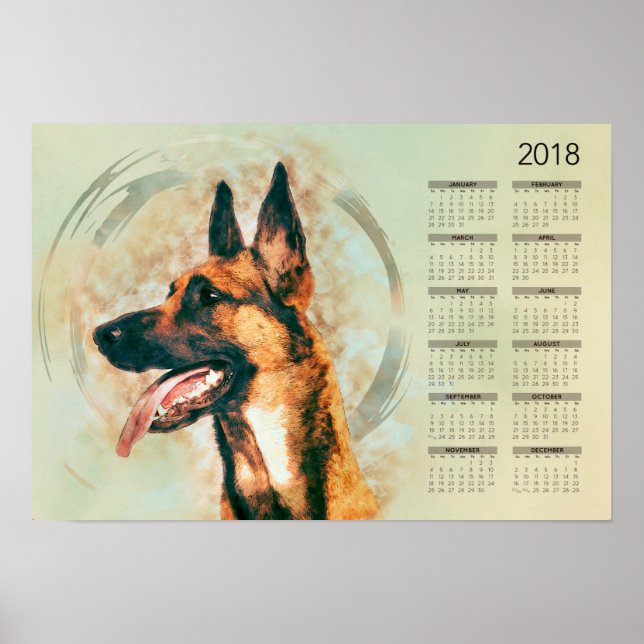 Póster Malinois belga - Mechelaar - Calendario 2018 (Frente)