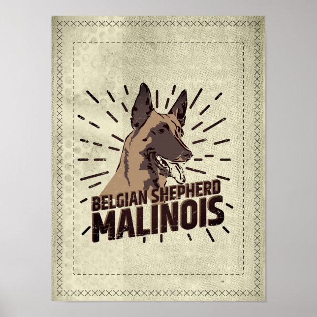 Póster Malinois - pastor belga - Mechelaar - Maligator (Frente)